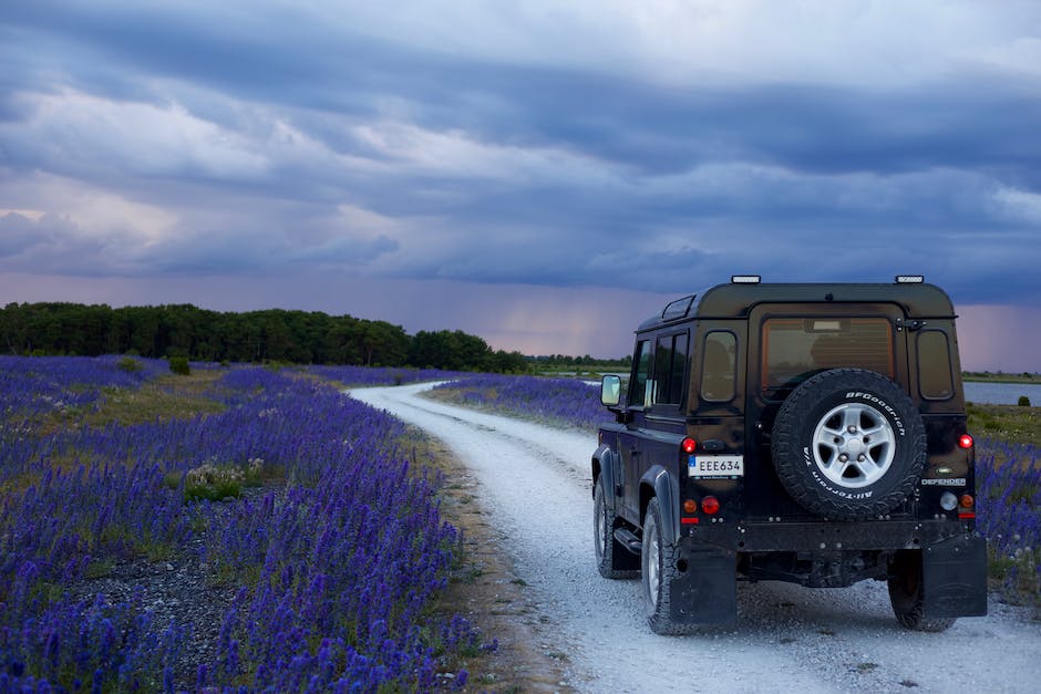 Electric vehicles and sustainability.