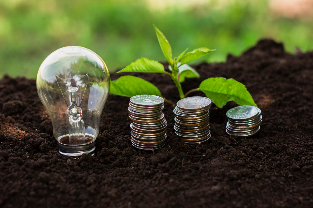 Eco-Friendly Investing: Opportunities in Sustainable Finance and Green Investments